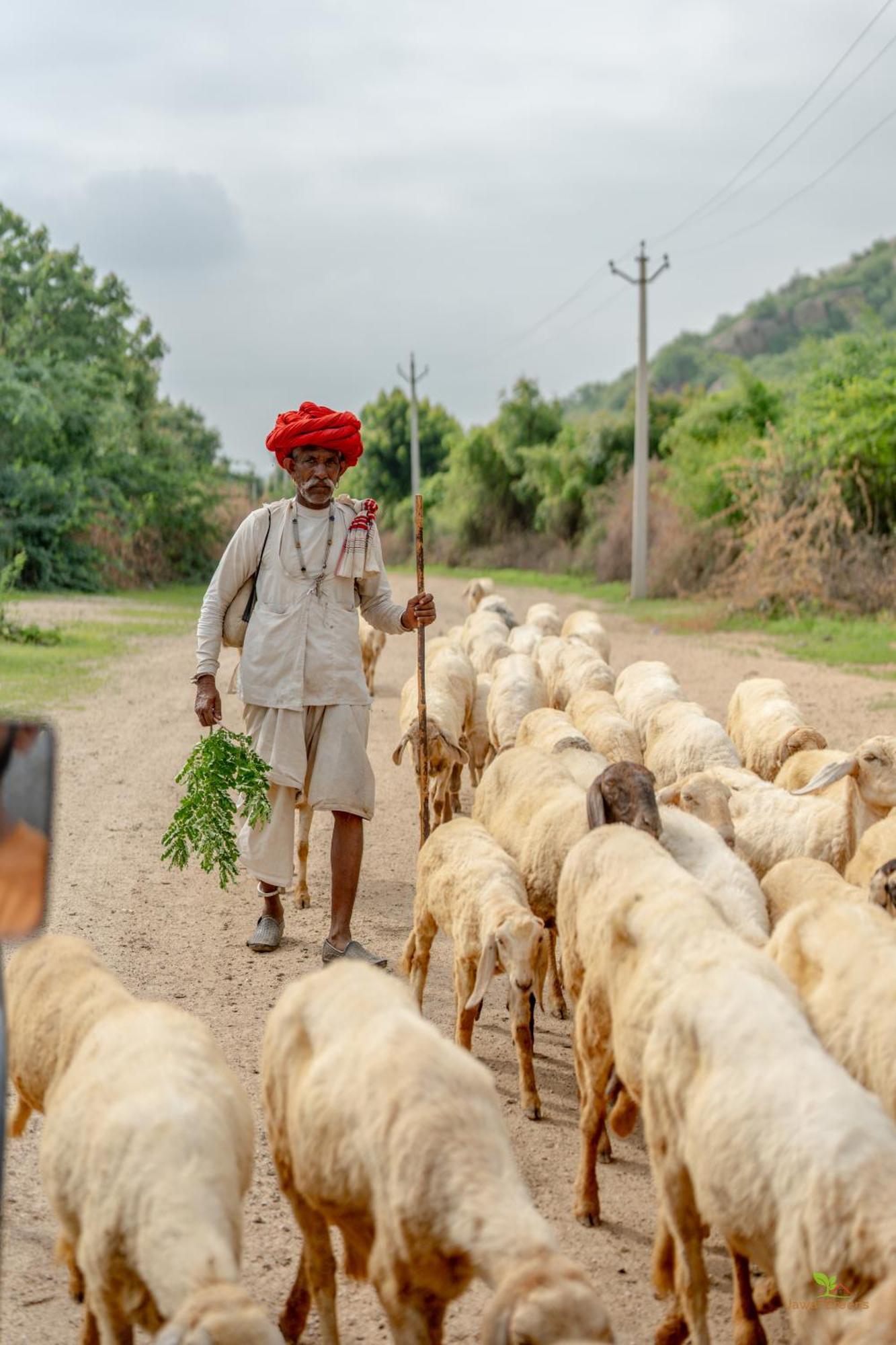 Jawai Greens Jawai Bandh ภายนอก รูปภาพ