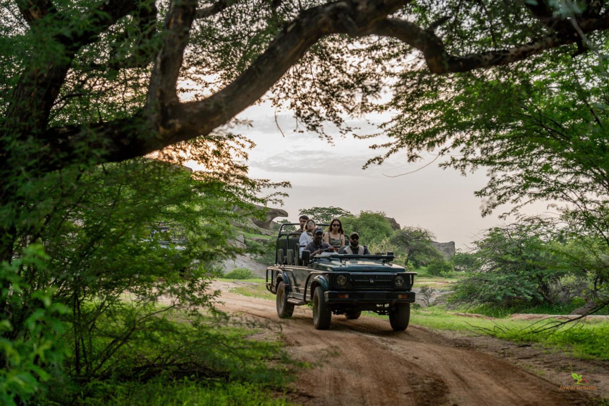 Jawai Greens Jawai Bandh ภายนอก รูปภาพ